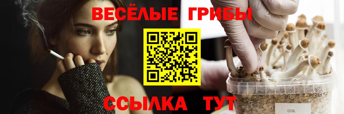 Псилоцибиновые грибы прущие грибы Берёзовский